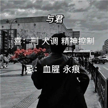 收k9速来