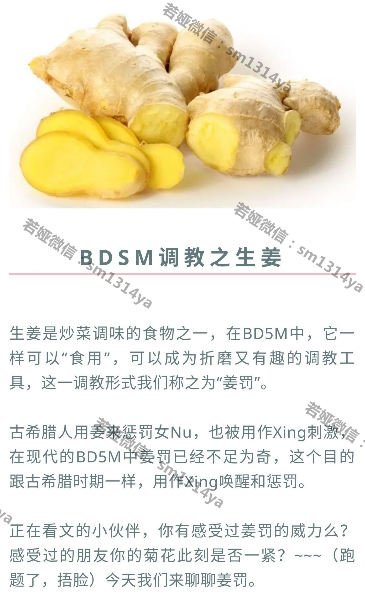 BDSM之生姜调教科普