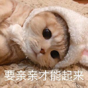 一个主都没有过