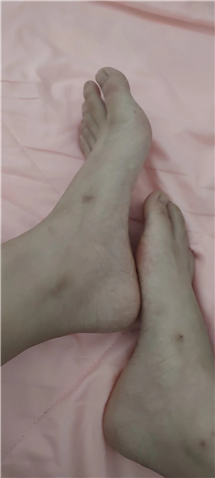 任务奴来